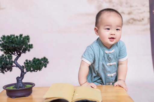 三河可爱的企鹅宝宝